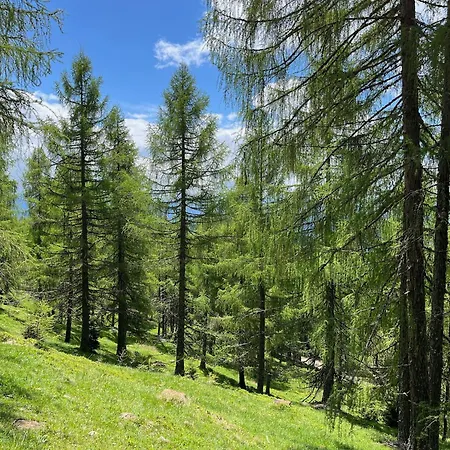 Apartment Gerlitzen *